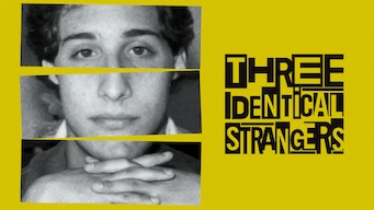 Três Estranhos Idênticos
