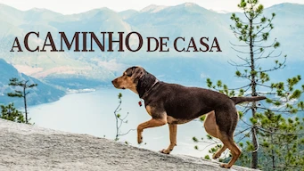 A Caminho de Casa