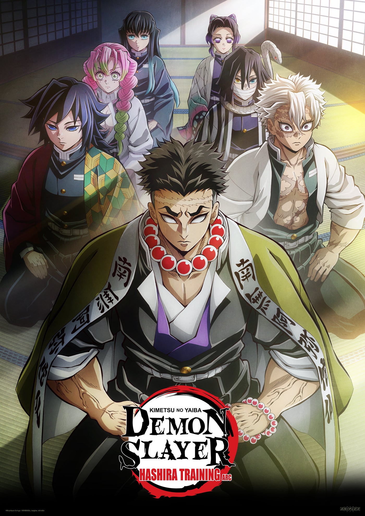 Demon Slayer: Kimetsu no Yaiba - Arco de Treinamento dos Hashira