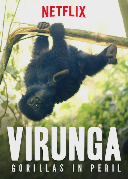 Virunga: Os Gorilas em Perigo