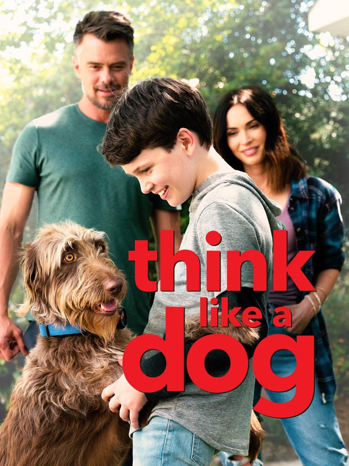 Pense como um Cão