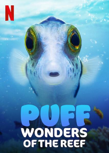 Puff: Maravilhas do Recife