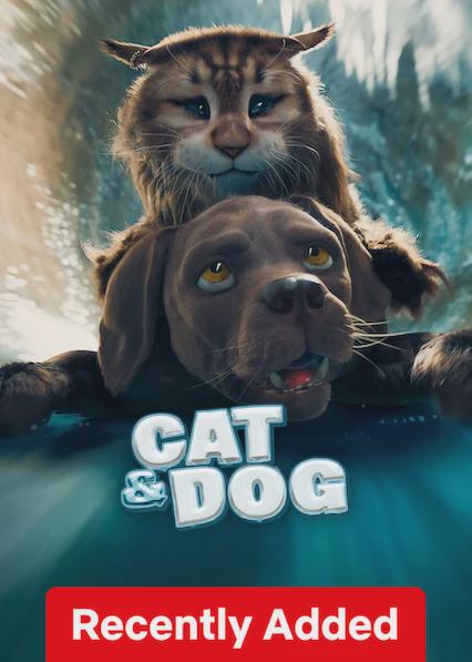 Gato e Cachorro