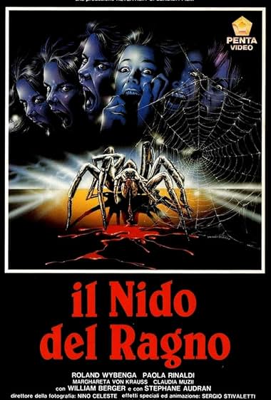 O ninho da aranha