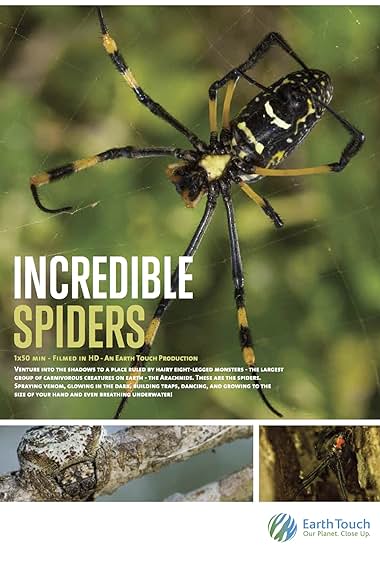 Aranhas Incríveis