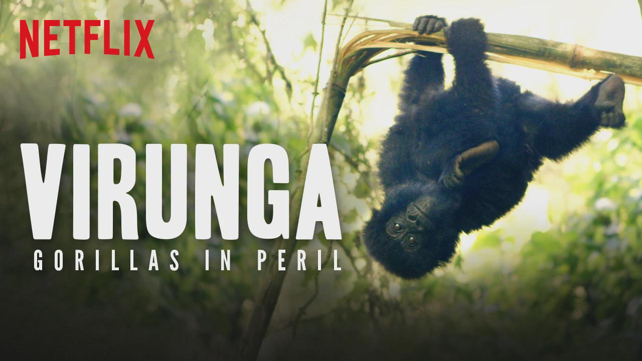 Virunga: Os Gorilas em Perigo