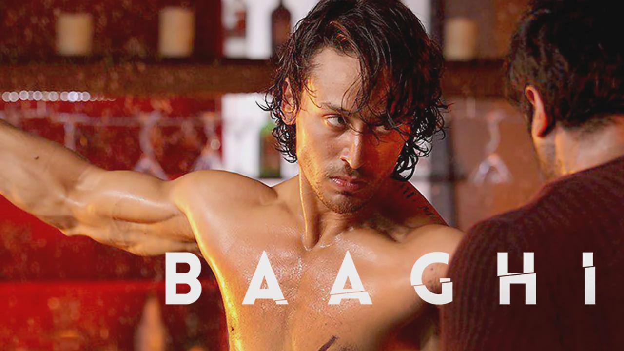 Baaghi: Rebelde