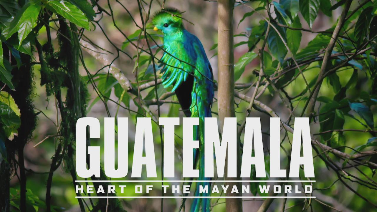 Guatemala: Coração do Mundo Maia
