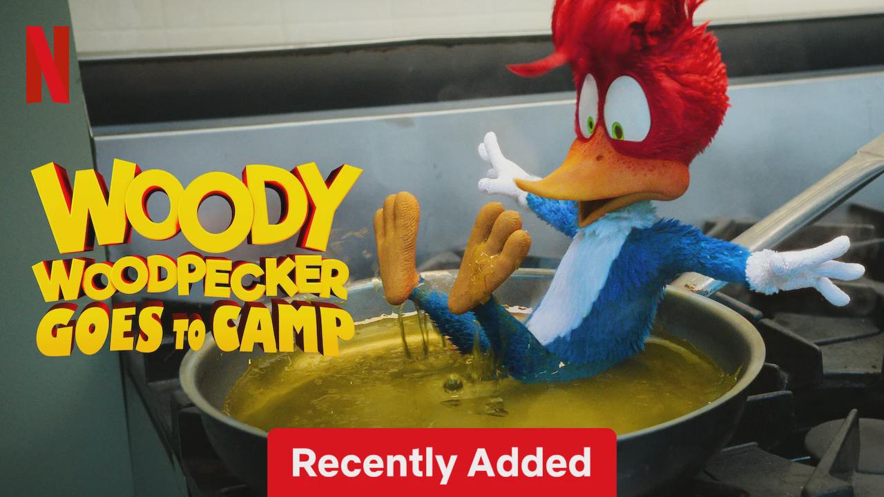 Woody Woodpecker Vai ao Acampamento