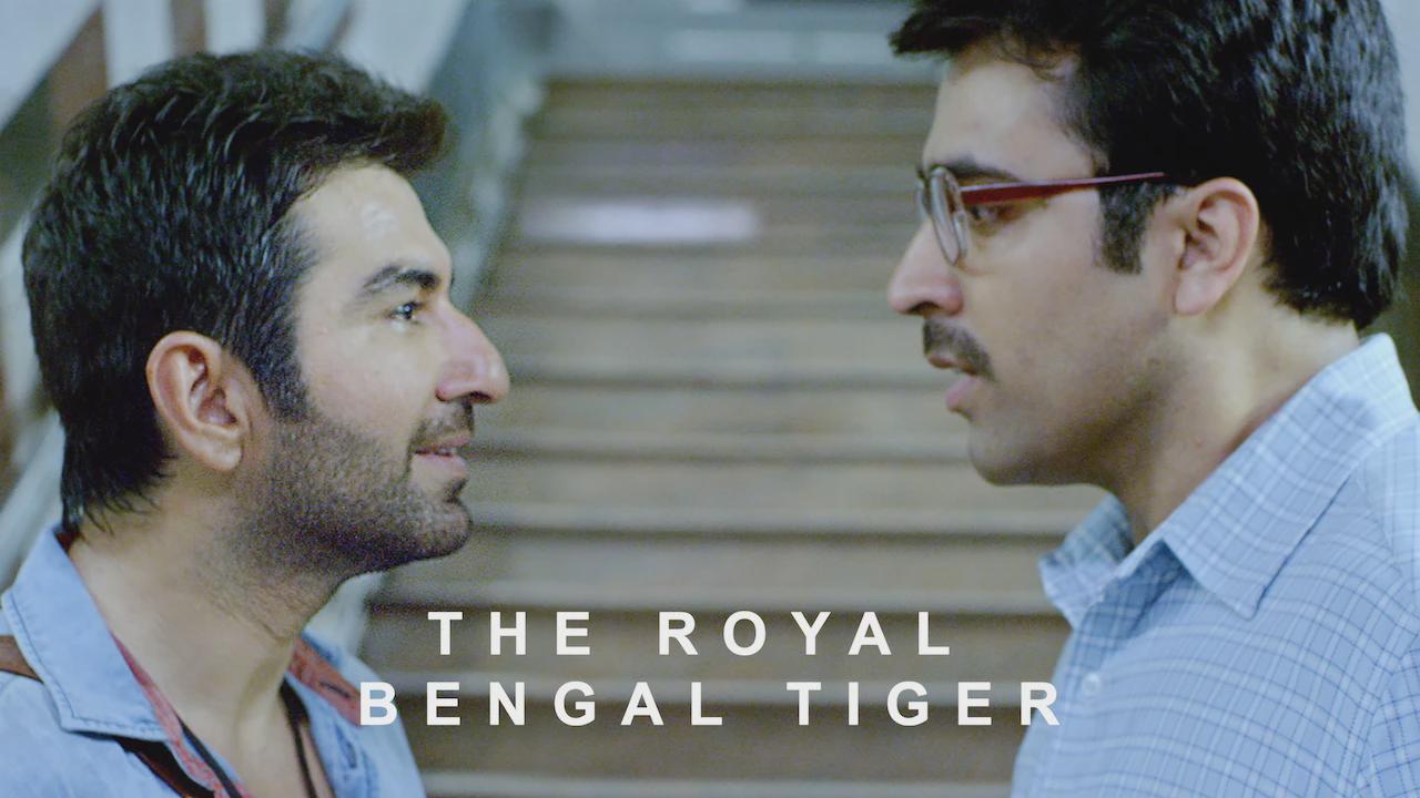 O Tigre de Bengala Real