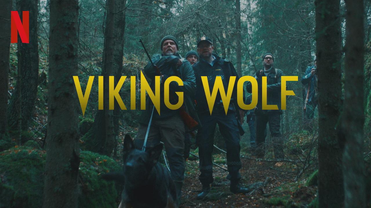 Lobo Vikingue