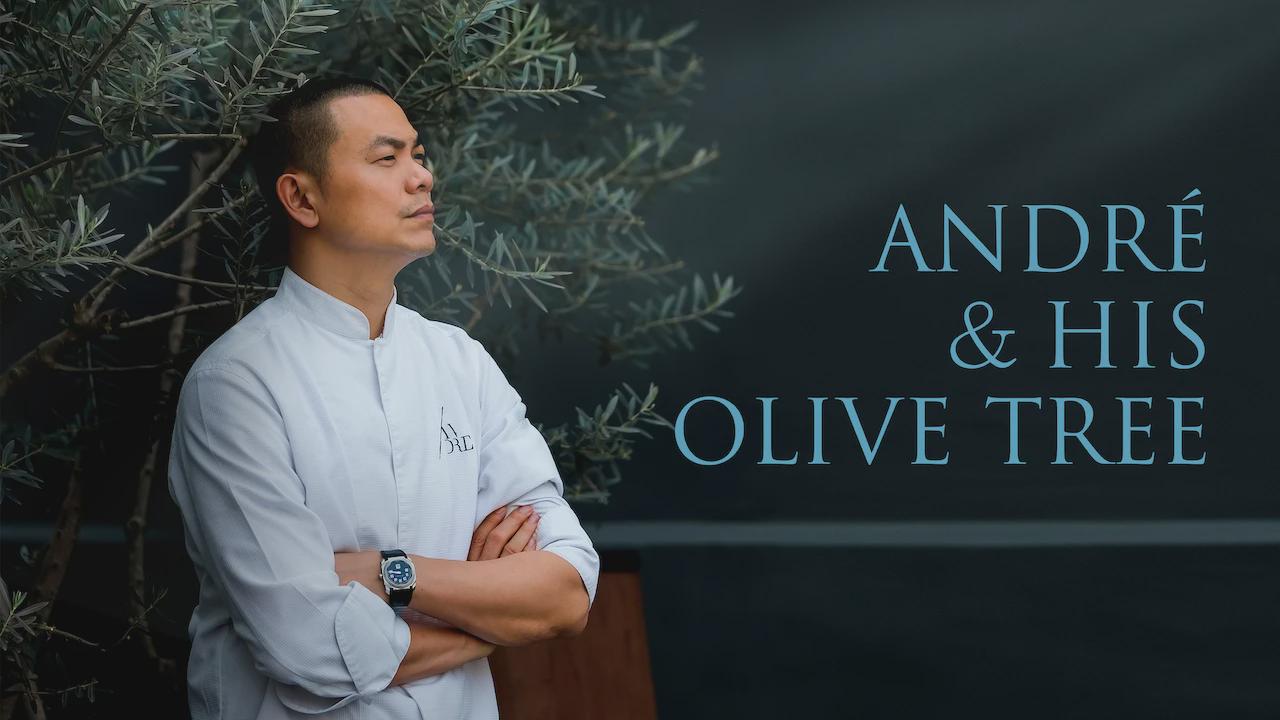 André e Sua Oliveira
