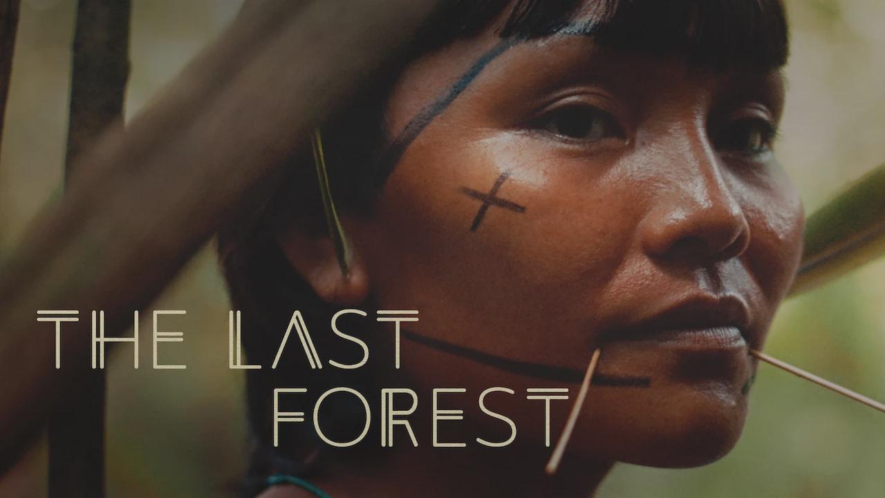 A Última Floresta