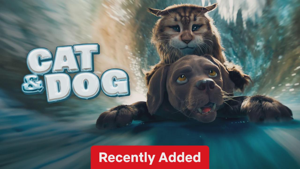 Gato e Cachorro